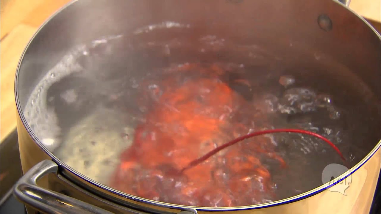 Como Hervir Una Langosta YouTube