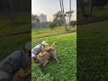 #dog