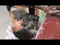 Hướng dẫn sửa chữa máy cắt gạch cule 12/SON HAI
