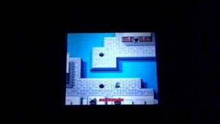 NES Teenage Mutant Ninja Turtles on the Nintendo DS