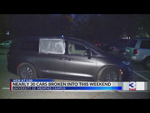 Nearly 30 cars broken into near U of M south campus