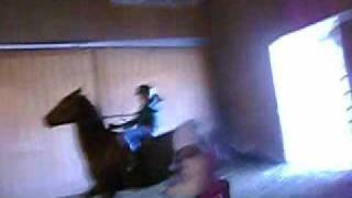 Riding Bareback- I fall off!