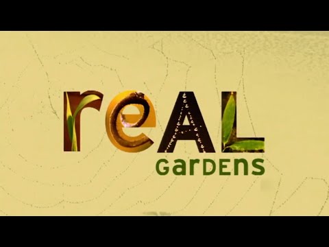 What Was The First Backyard Landscaping Show On Tv?