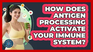 How Does Antigen Processing Activate Your Immune System? - All About the Immune System