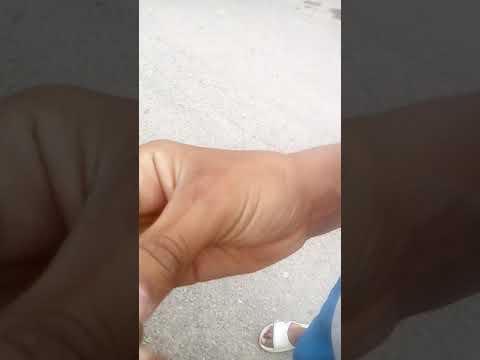 اصطياد خفاش صغير 