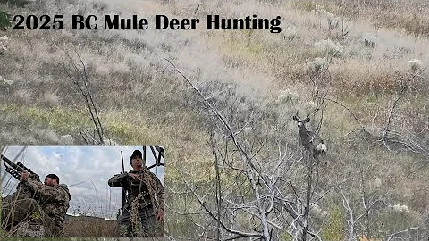 2025 BC Mule Deer Hunting - Opening Weekend