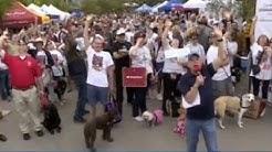 Thousands of pups march across Austin in the Mighty Texas Dog Walk