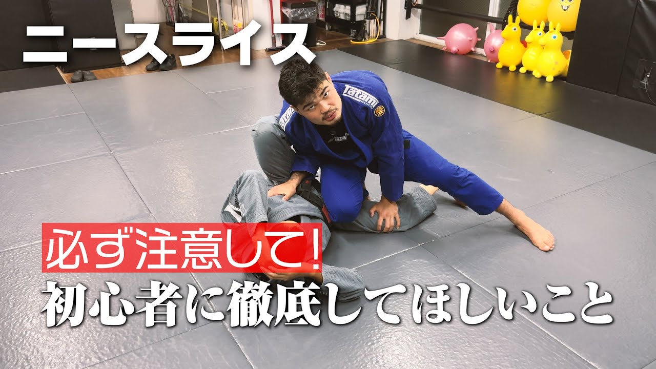 【ニースライス】必ず抑えるべきポイント教えます