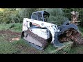 Cleaning up fallen trees