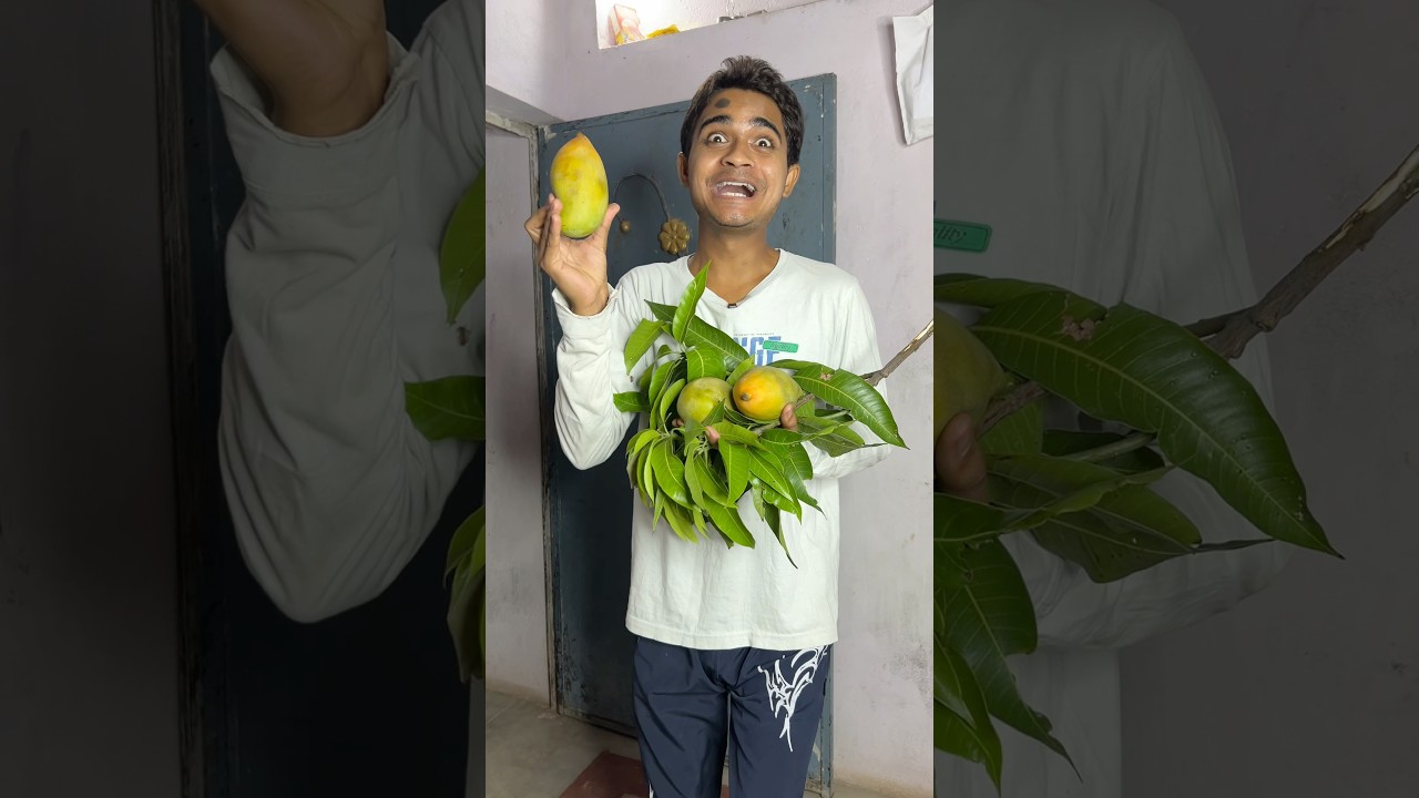 Ye Aam Chori ke Nahi hai 😢 - #cooking ##food #vlog #recipe #dailyvlog #comedy #mango #candy