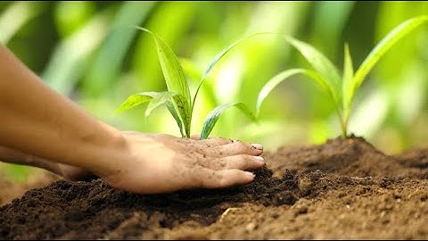 Malaysian Palm Oil Council (MPOC) Corporate Video 2024