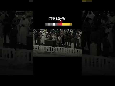 ولو ترى إذ المجرمون ناكسوا رؤوسهم عند ربهم ربنا أبصرنا وسمعنا فارجعنا نعمل صالحاإناموقنون