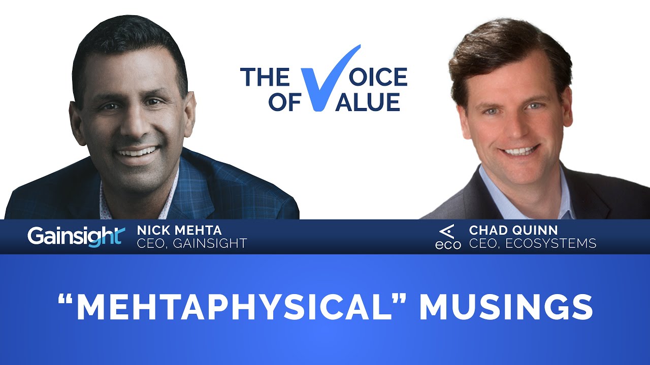 "Mehtaphysical" Musings - Nick Mehta | Voice of Value Podcast