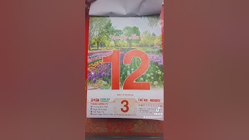 MC97 | Chúc mừng năm mới mùng 3 tết nguyên đán xuân giáp thìn 2024 rất hay rất thú vị #Shorts