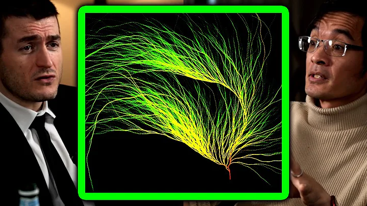 The surprisingly hard math problem - Collatz conjecture explained | Terence Tao and Lex Fridman