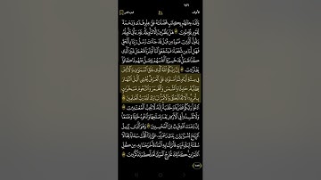 قراءة سريعة سورة الأعراف ماهر علوان مكتوبة للجوال بدون اعلانات خلفية سوداء_HD