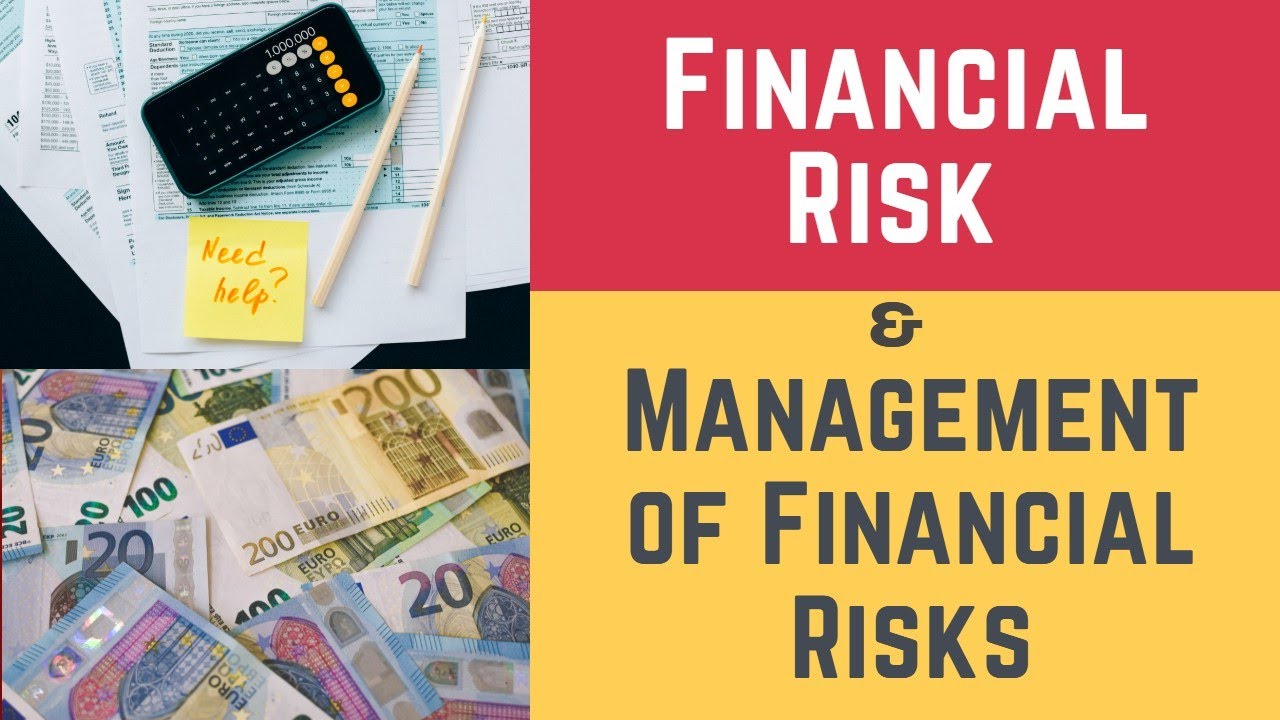Financial Risk And Management Of Financial Risks (Financial Risks  Financial Risk Management)