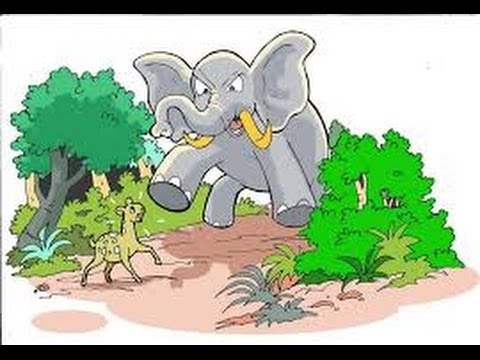  Gambar Image Gallery Kancil Gambar Kartun Gajah di Rebanas 