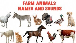 Farm animals names and soundsحيوانات المزرعة باللغة الإنجليزية