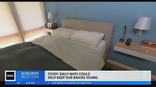 New study finds daily naps slow process of brain shrinkage