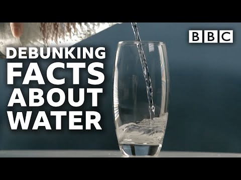 Video: Watter tipe melk?