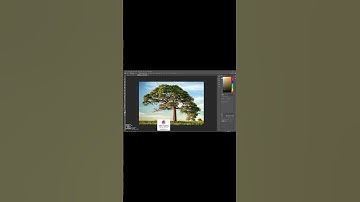Photoshop CC editing tutorial Photoshop Speed art #short # photoshop N Edit Pro Films