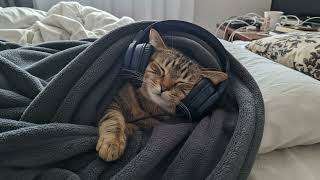 DrunKen Confession - Kim Min-seok | K Music Cover