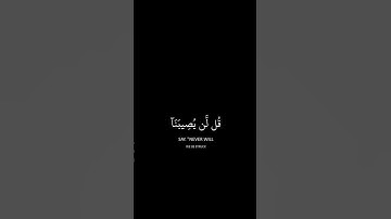 قل لن يصيبنا إلا ما كتب الله لنا القارئ احمد النفيس