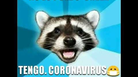 Memes.  Para divertirse