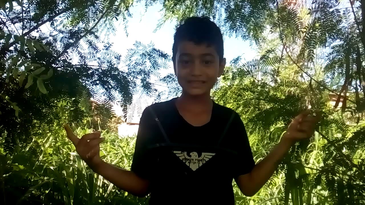 No meio do mato - YouTube