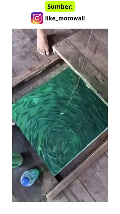 Seru❗️❗️❗️,mancing ikan di kolong rumah #shorts #mancing #ikan