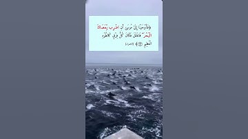 #فاوحينا إلى موسى أن أضرب بعصاك البحر #تلاوة_خاشعة #قرأن كريم #explore #fypシ #fyp