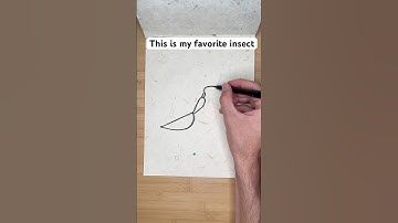 How to draw a praying mantis: Inspiration comes in all sizes #art #howtodraw #prayingmantis #mantis