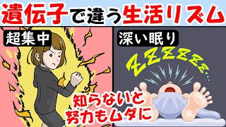 DNAで変わる1番集中できる時間帯！遺伝子で診断→睡眠時間タイプ【朝型・夜型人間｜診断テスト】生活リズムを知って集中力を高める
