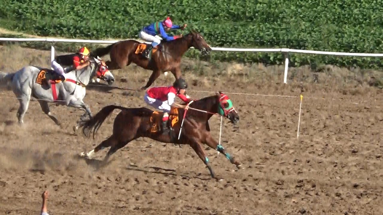 Claudioturf - Jockey Club Venado Tuerto - Pájaro Loco 22.12.2024