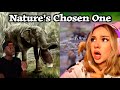 Finnish Girl Reacts to How Nature Accidentally Created the Perfect Animal