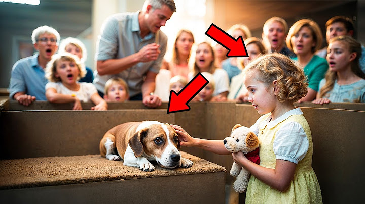 Rejected Dog At Auction Is Bought By A 8-Year-Old Girl, And What Happens Next Shocks Everyone