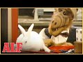 Umro dječak iz "Alfa" (VIDEO)