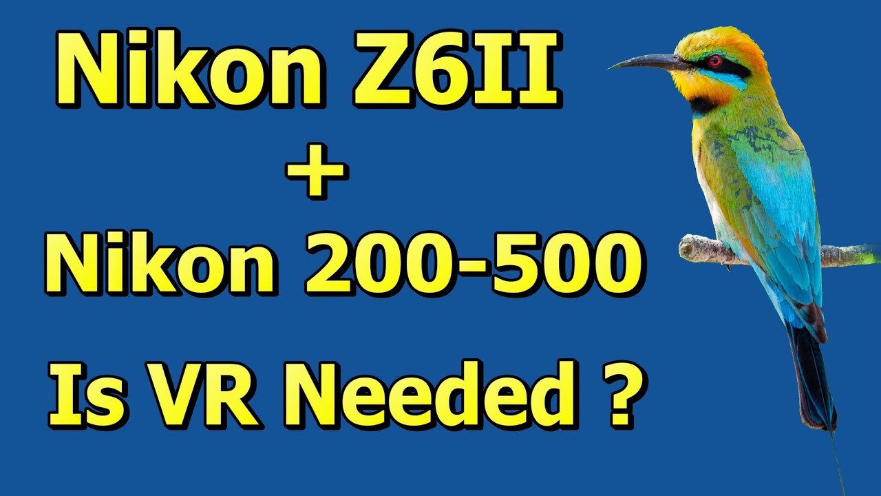 Nikon Z6ii with Nikon 200500mm Why I use VR for Bird Photography