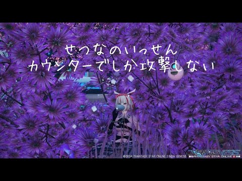 【PSO2NGS】セツナノイッセン、カウンターのみ無被弾【ブジン道場】