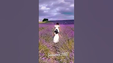 Thumbnail of Lavender fields forever💜 #youtubeshorts #shortsuk #momanddaughtercombo #lavenderfields #oldmemory