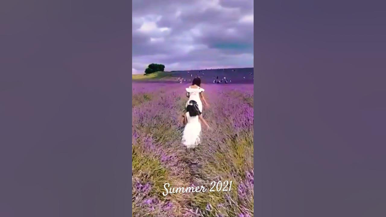 Lavender fields forever💜 #youtubeshorts #shortsuk #momanddaughtercombo #lavenderfields #oldmemory Lavender fields forever💜 #youtubeshorts #shortsuk #momanddaughtercombo #lavenderfields #oldmemory