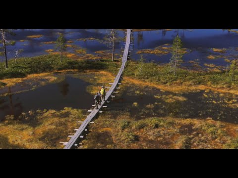 East Lapland summer travel video: visit Kemijärvi, Pyhä-Luosto, Salla & Savukoski in North Finland