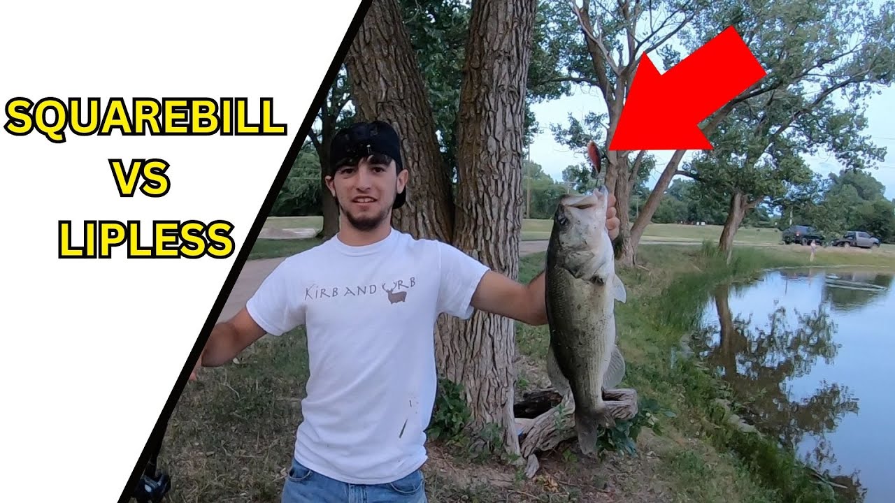 LIPLESS VS SQUAREBILL Crankbait Fishing Challenge YouTube