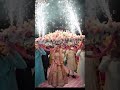 Bride entry weddingplz subscribe my channel  subscribe