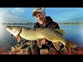 Erfolgreich Angeln vom Ufer - so fängst du MEHR FISCH im Fluss!