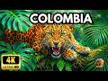 Wild Colombia: The Guardians of the Paradise | Full Wildlife Documentary