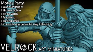 Velrock Art Miniatures Adventurer October 2022 - Motley Party