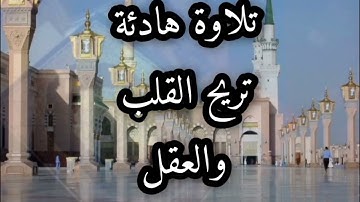 سورة النمل تلاوة هادئة _قرأن كريم بصوت هادي جدا تلاوة خاشعة