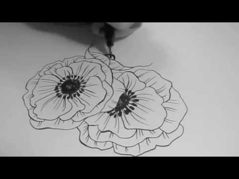 speed drawing poppy flowers youtube
